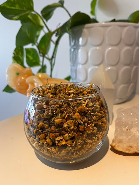 Chamomile